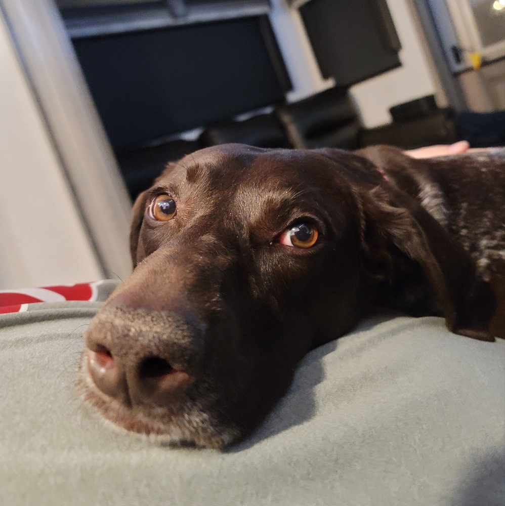 Meet your Posher, Shawna